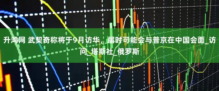 升鸿网 武契奇称将于9月访华，届时可能会与普京在中国会面_访问_塔斯社_俄罗斯
