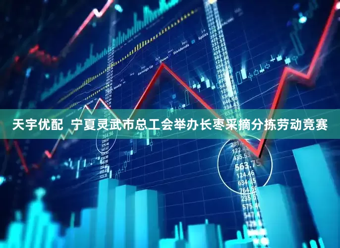 天宇优配  宁夏灵武市总工会举办长枣采摘分拣劳动竞赛