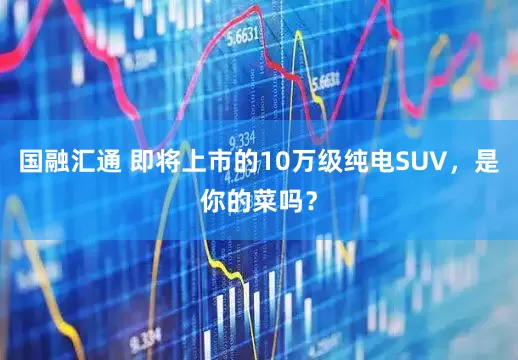 国融汇通 即将上市的10万级纯电SUV，是你的菜吗？